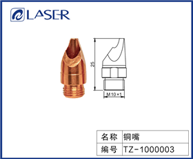 TZ-1000003